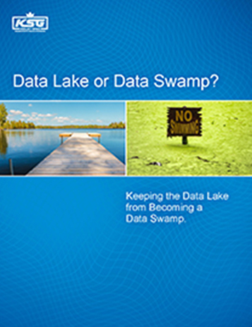 Data Lake or Data Swamp?